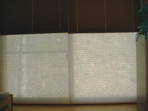 p2.jpg