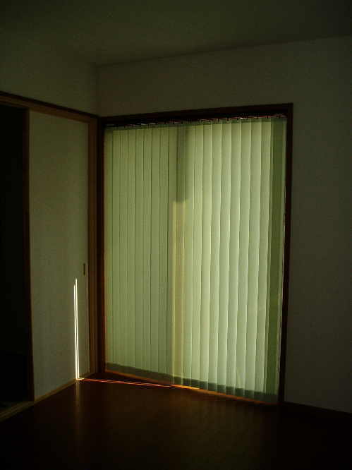 p4.jpg